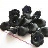 Lot 17 Fleur acrylique noire 20mm