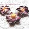 Lot 4 Perle fleur marron 20mm fimo