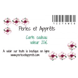 Carte cadeau 20 euros