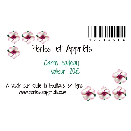 Carte cadeau 20 euros